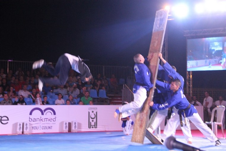 Martial Arts Festival